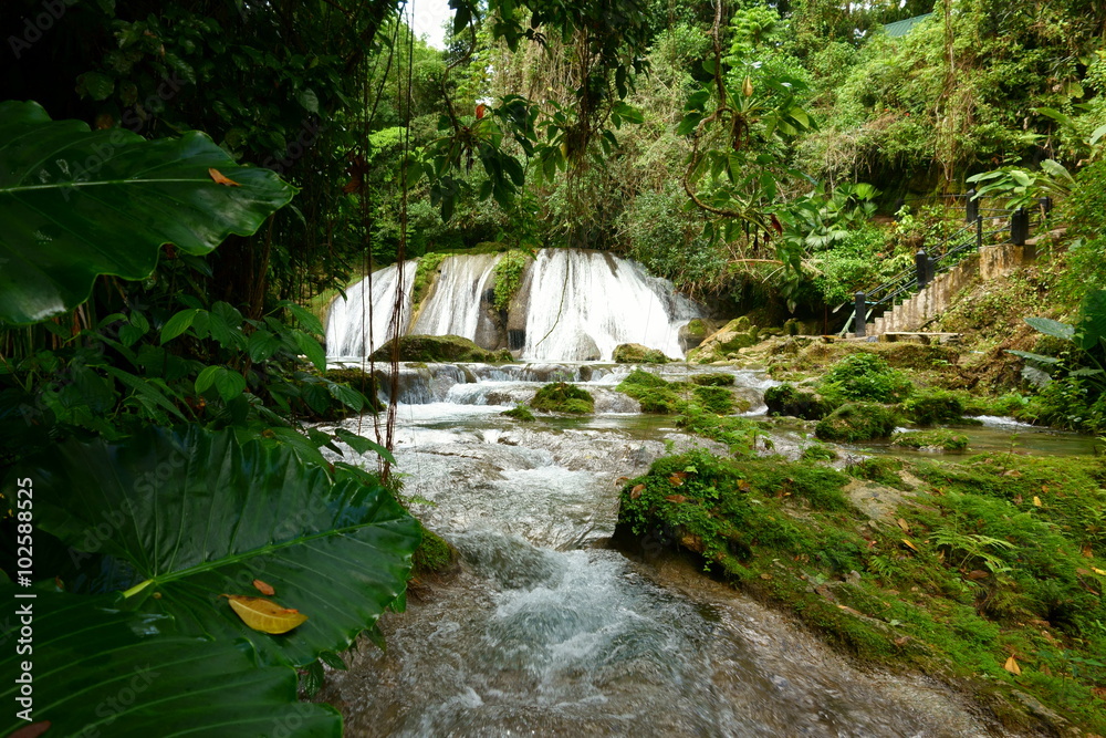 Fototapeta premium Reach Falls waterfalls and surrounding lush tropical rain forests not too far from Port Antonio are one of the most popular tourist destinations and attractions in Portland parish, Jamaica.