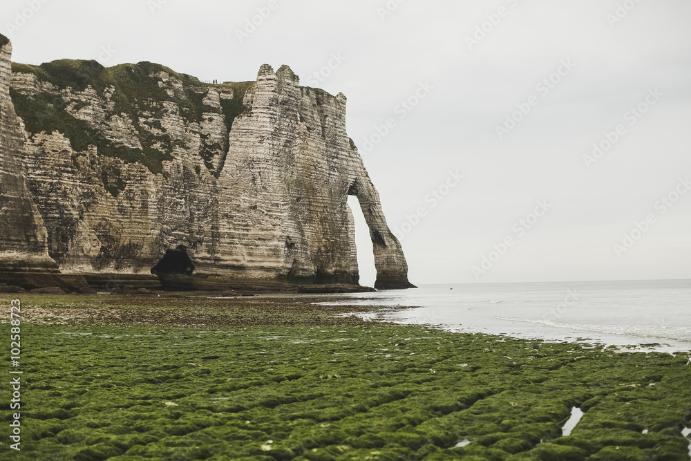Falaise d'Amont cliff at Etretat, Normandy, France