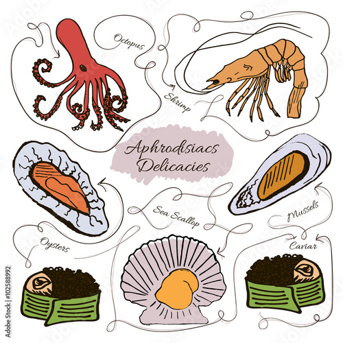 Hand drawn vector collection of seafood aphrodisiacs