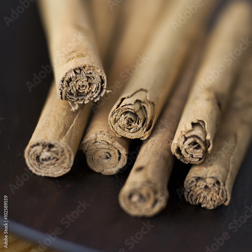 Closeup of dried brown cinnamon sticks