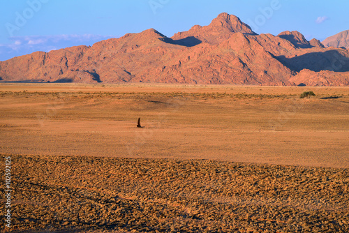 Sossusvlei  Namib Naukluft National Park  Namibia