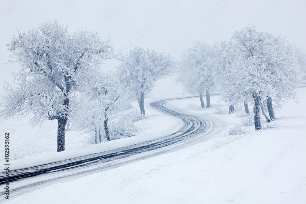 Obraz premium Snowy winter road, trees with snow and fog