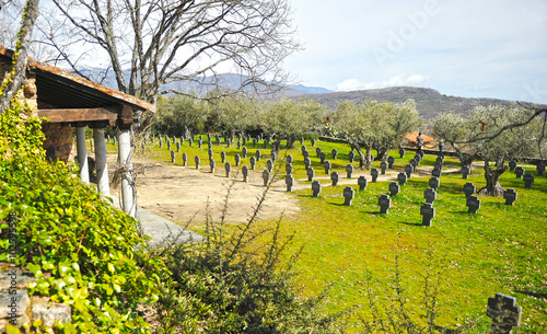 Cementerio militar alemán de Yuste, provincia de Cáceres, España photo