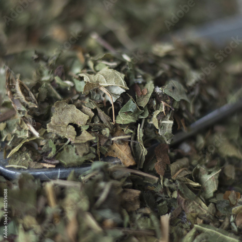 dried blackberry leaves