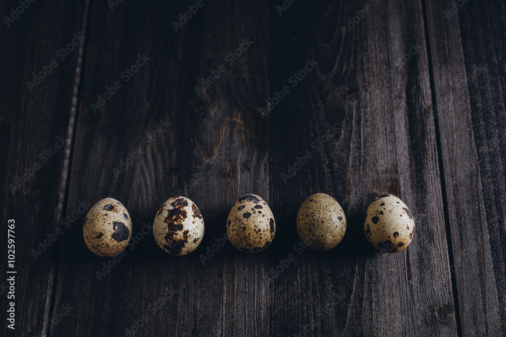 Obraz premium Wachteleier in einer Reihe