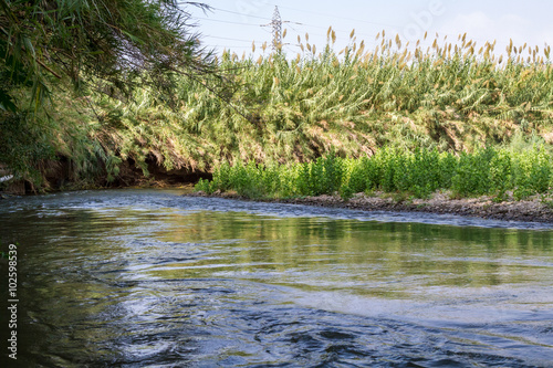 Bushes along the banks  Jordan River