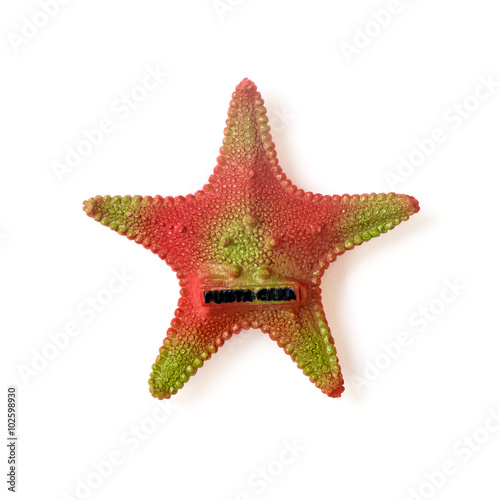 Fridge magnet - starfish