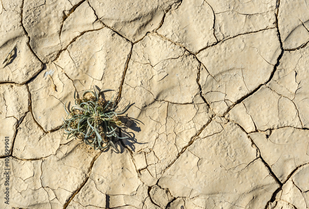 Climate change threaten the ecology of nature systems making conservation and study a pivotal endeavor Climate change threaten the ecology of nature systems making conservation and study a pivotal endeavor