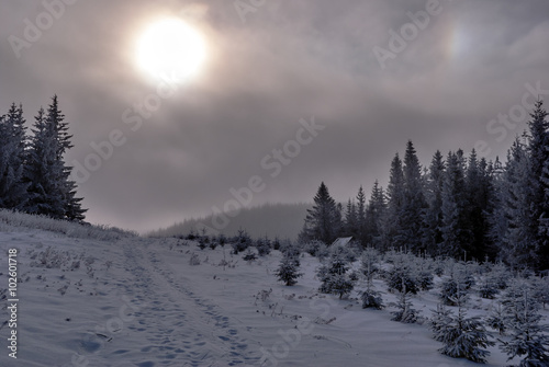 Meadow Malorka on a cloudy day during the winter in Beskidy Mountains in Poland. photo