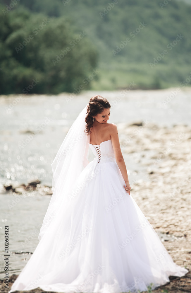 Beautiful luxury young bride in long white wedding dress and veil standing near river with mountains on background Beautiful luxury young bride in long white wedding dress and veil standing near river with mountains on background