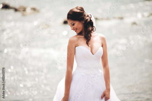 Beautiful luxury young bride in long white wedding dress and veil standing near river with mountains on background