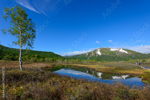 Ozegahara and Mt. Shibutsu in early summer in Gunma, Japan