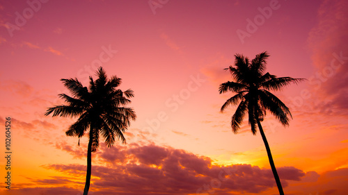 Fototapeta Naklejka Na Ścianę i Meble -  Two palm trees silhouette on sunset tropical beach