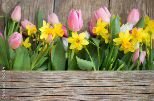 Frühlingsmotiv Tulpen u. Narzissen photo