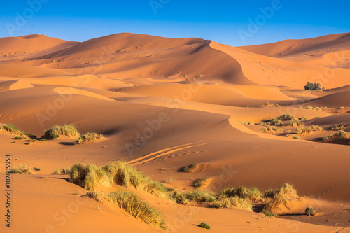 Sand Dunes in the Sahara Desert, Merzouga, Morocco photo