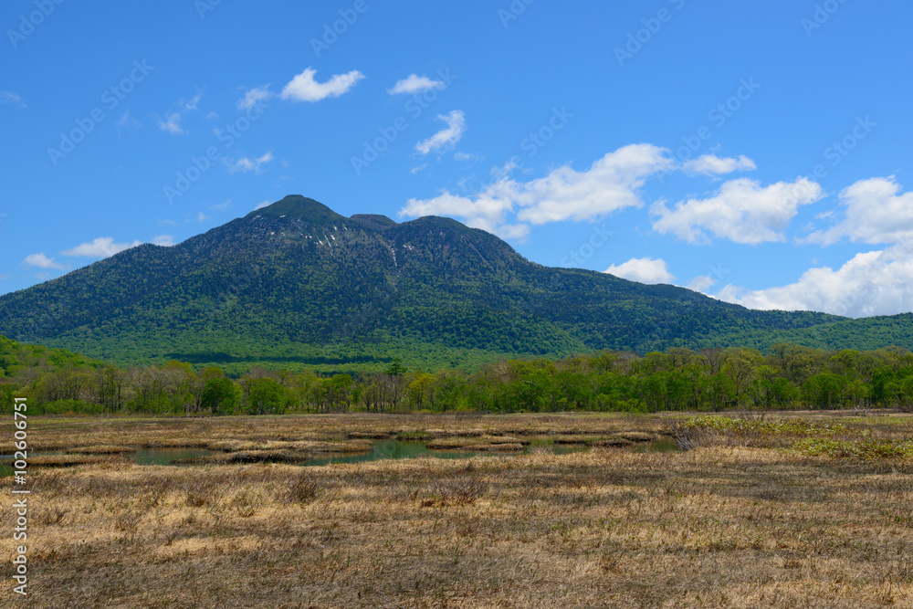 Fototapeta premium Ozegahara and Mt. Hiuchigatake in early summer in Gunma, Japan