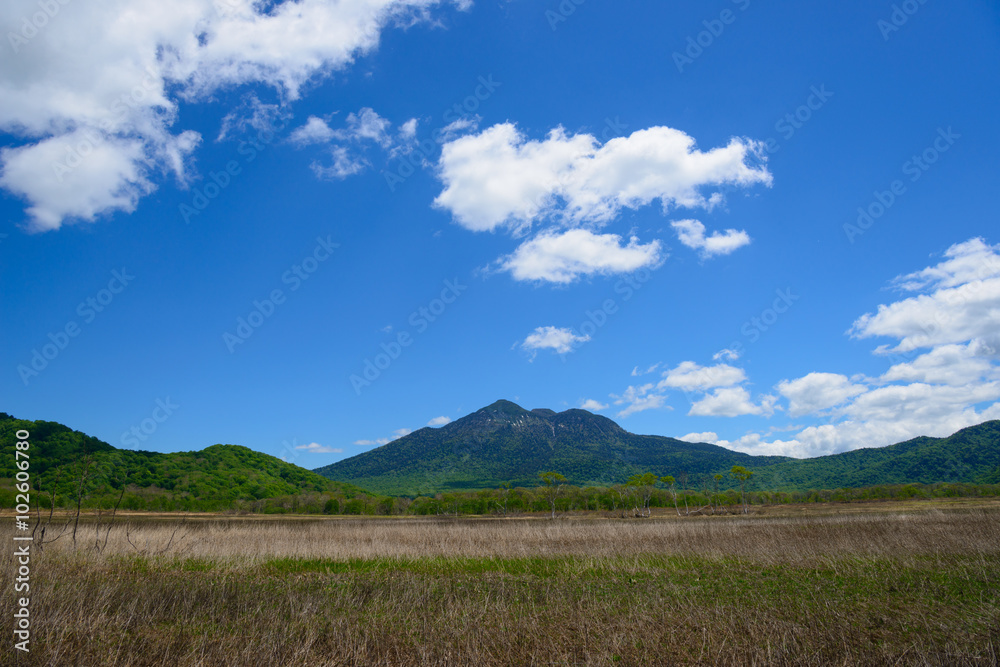 Ozegahara and Mt. Hiuchigatake in early summer in Gunma, Japan