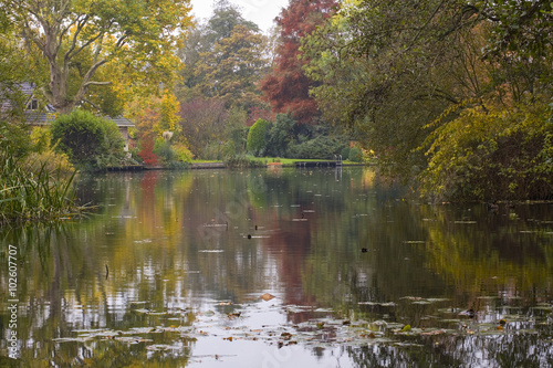 Autumn trees in a park, Alblasserdam, South-Holland, Netherlands