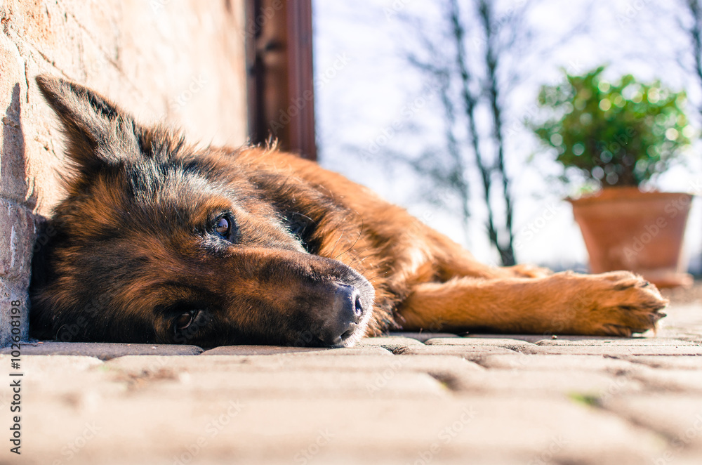 Naklejka premium Warm up