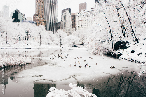 Central Park after a Snow Storm, New York