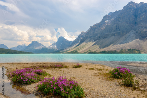 Fototapeta Naklejka Na Ścianę i Meble -  Majestic mountain lake in Canada. Bow Lake, Banff, Alberta.