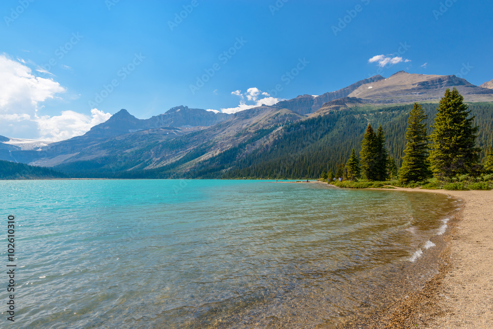 Majestic mountain lake in Canada. Bow Lake view in Jasper, Alberta, Canada. Rocky Mountains.