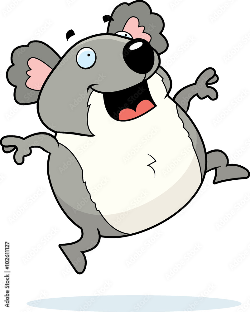 Koala Jumping Koala Jumping