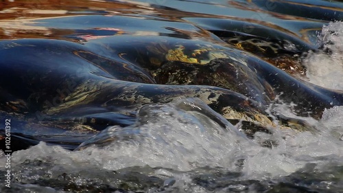 Flowing Water at the waterfall, calm atmosphere, looping