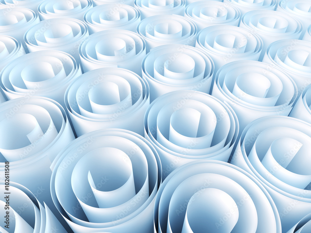 Blank rolls of paper Blank rolls of paper