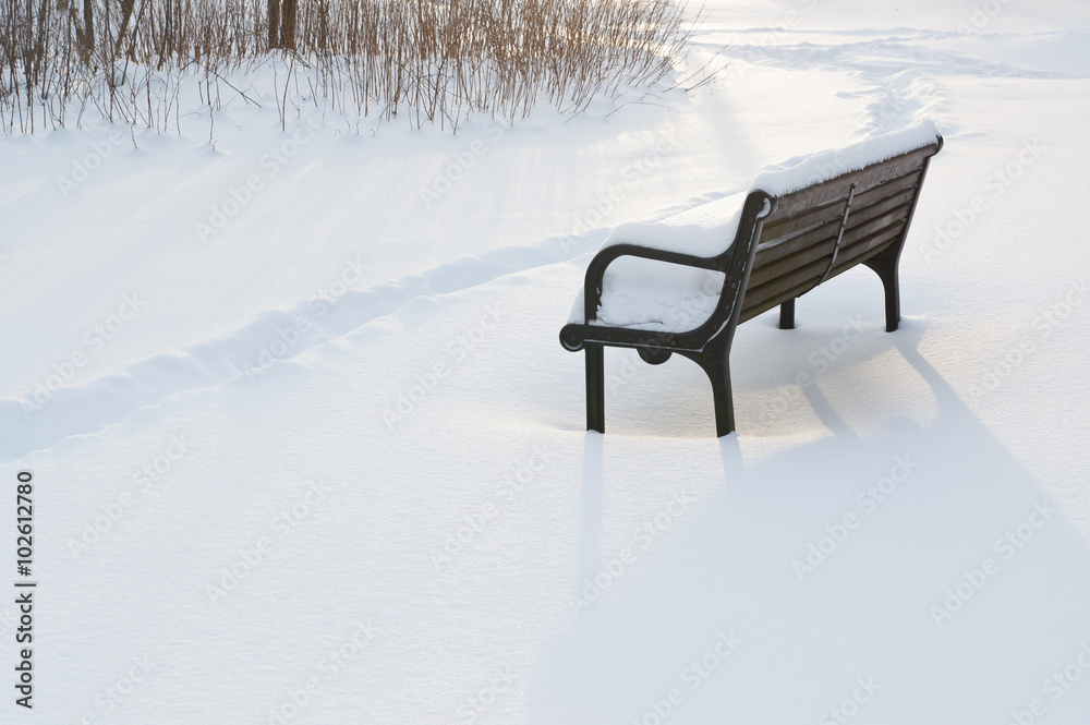 Winter park bench