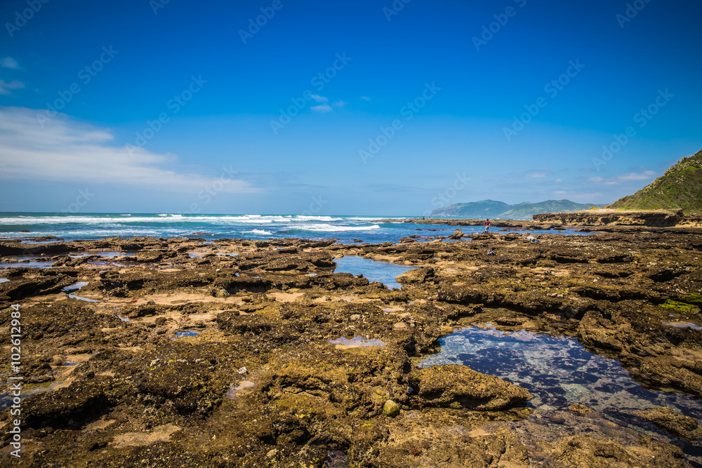 Fototapeta premium Umngazi River Mouth