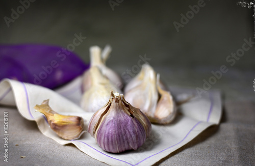 AIL VIOLET photo