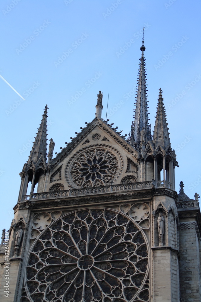 Paris, Notre Dam deParis, year 2010