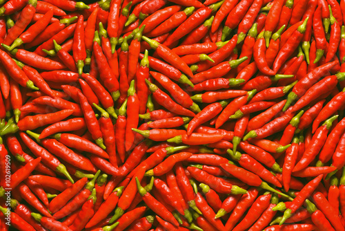 Vibrant Red Pepper. Image for use as background full of red pepper.