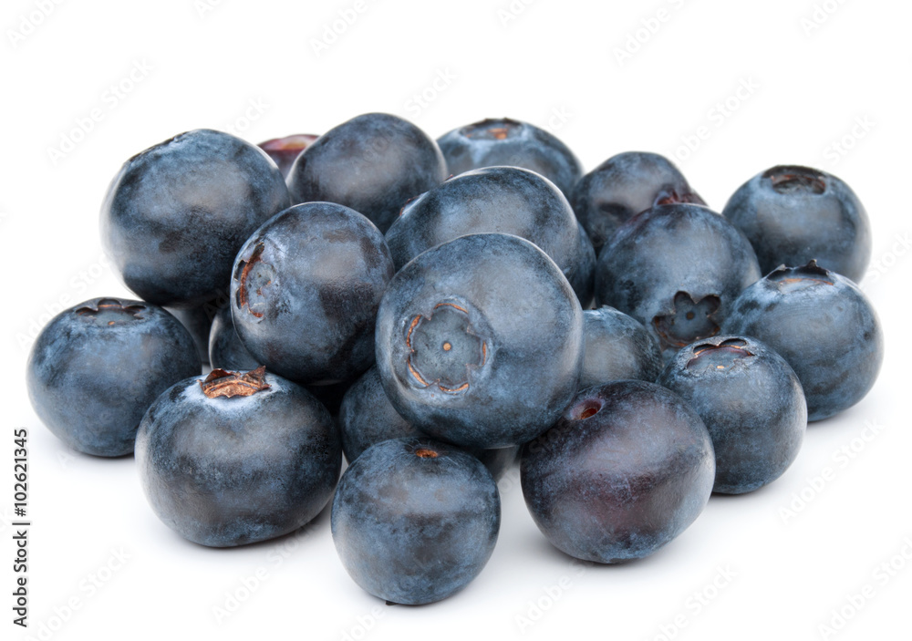 blueberry or bilberry or blackberry or blue whortleberry or huck blueberry or bilberry or blackberry or blue whortleberry or huck