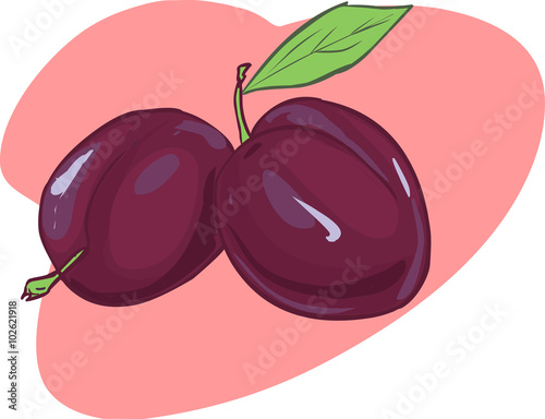 Fresh juicy red violet plum fruit with bright green leaf isolate