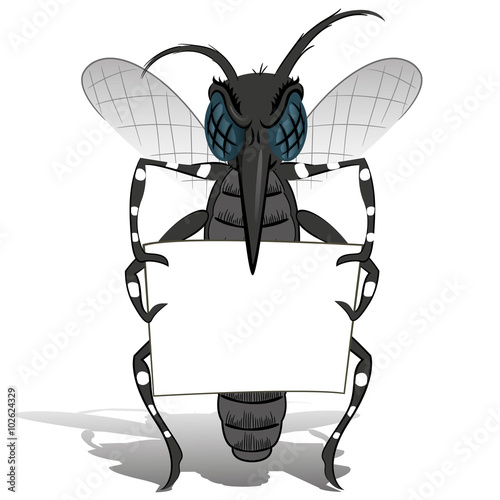 Aedes Aegypti Mosquito stilt holding small poster