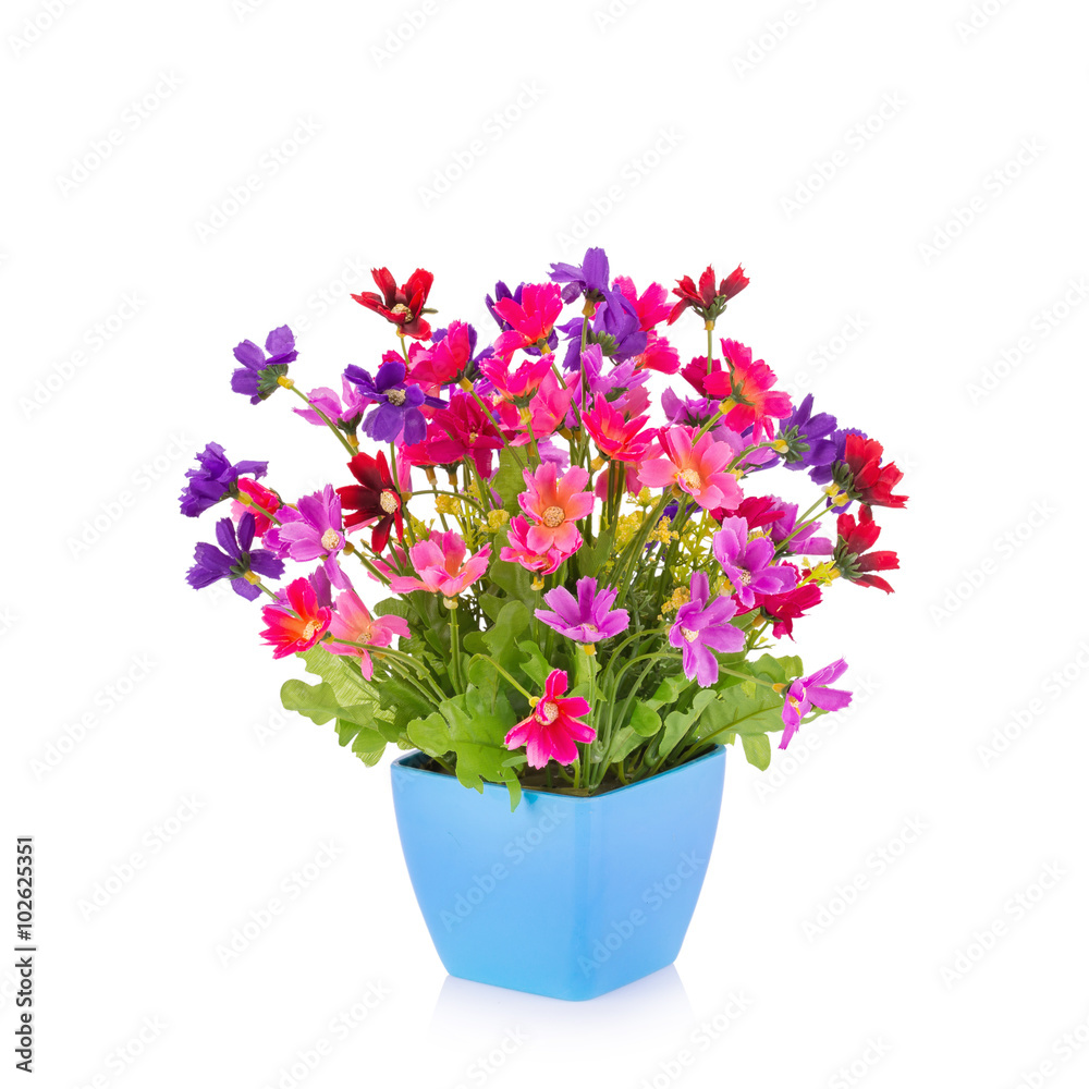 Plastic flower for decoration