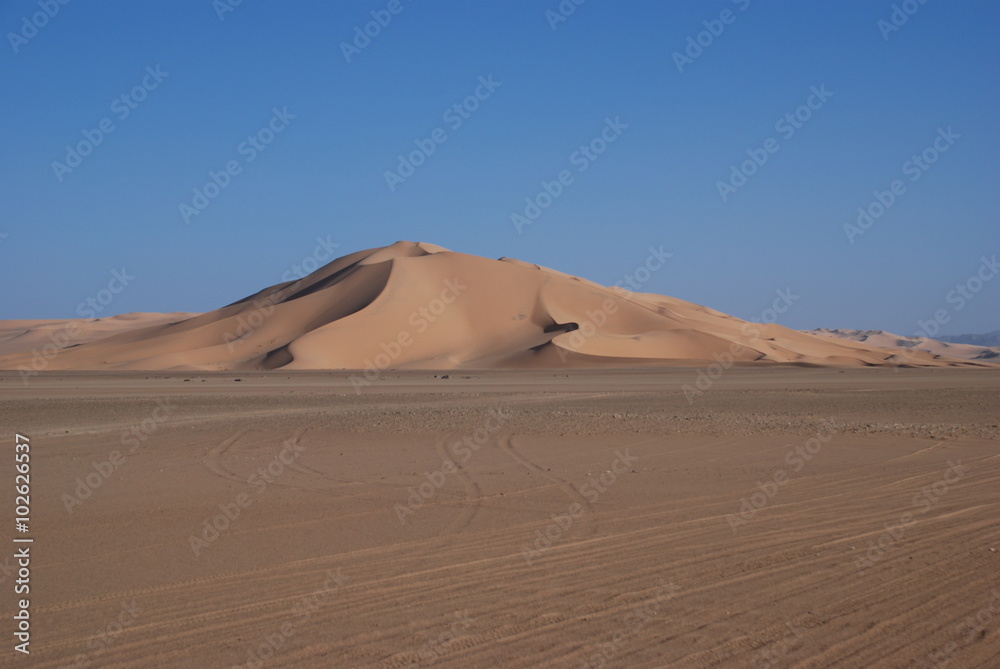 Wide Dunes