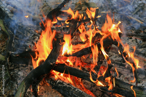 flame of firewood in camp fire