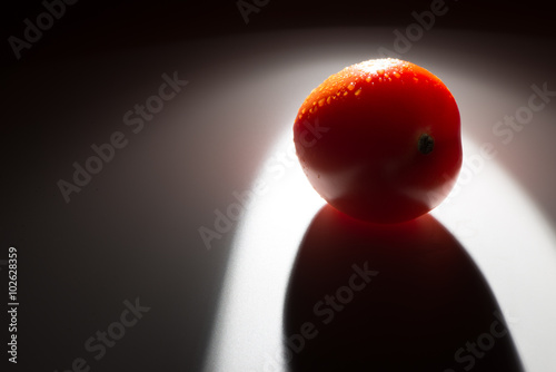 Pomidor spotlight 2 photo