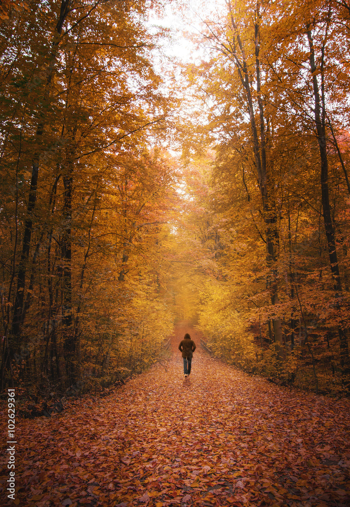 Obraz premium Wanderer