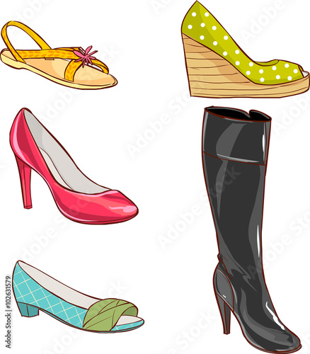   Vector illustration of a colored women's shoes
