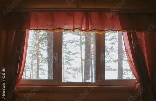 view of winter forest from house window