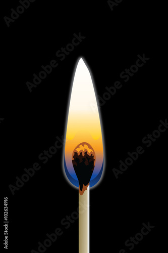 Match Burning is an illustration of a single match burning with a black background.