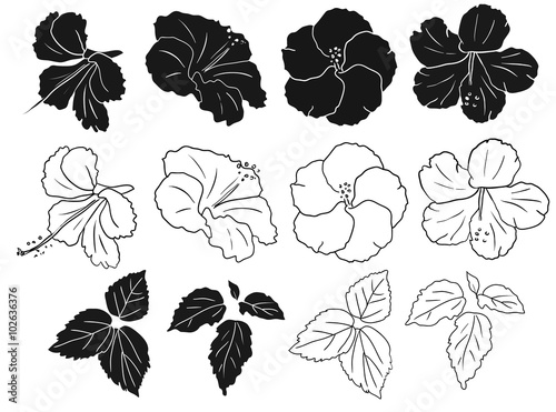 Hibiscus silhouettes vector