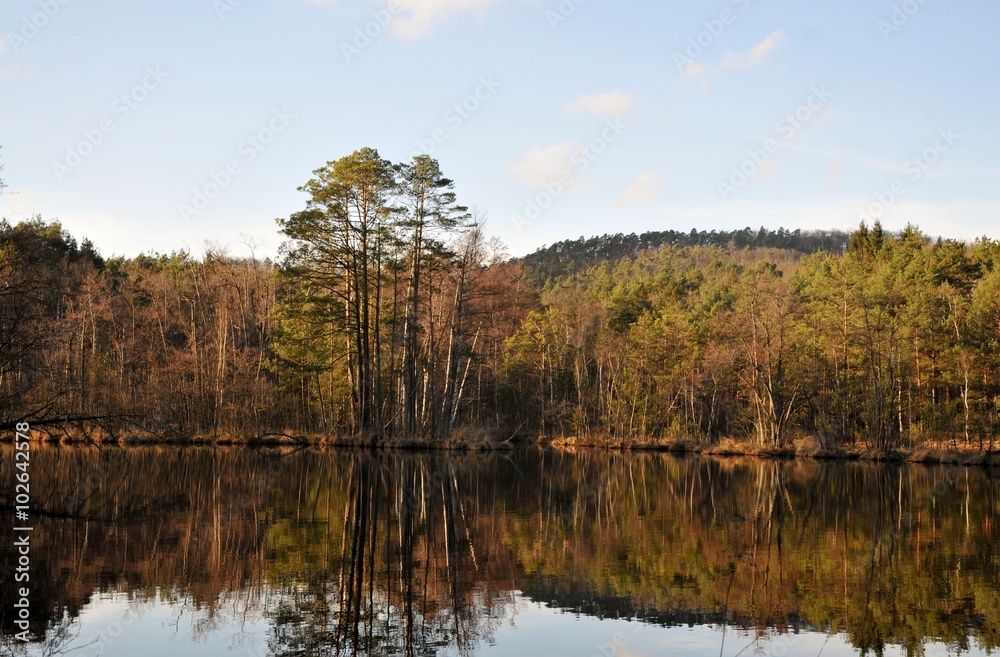 spring time and lake