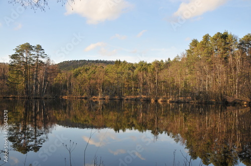 spring in a lake