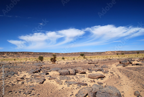 Cloudy Sky in the Desert