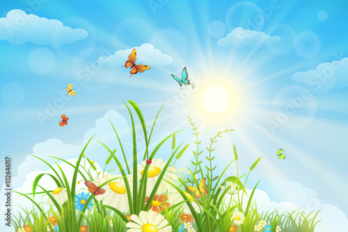 Summer and spring landscape, meadow with flowers, blue sky and butterflies